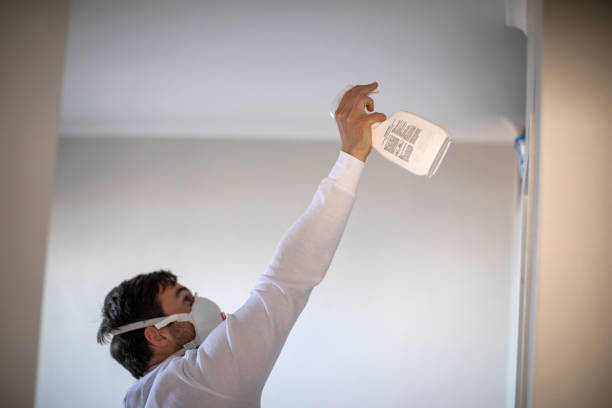 Best Attic Mold Removal  in Lakeland, TN