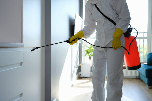 Best Professional Mold Removal  in Lakeland, TN