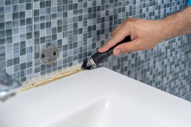 Certified Mold Removal in Lakeland, TN