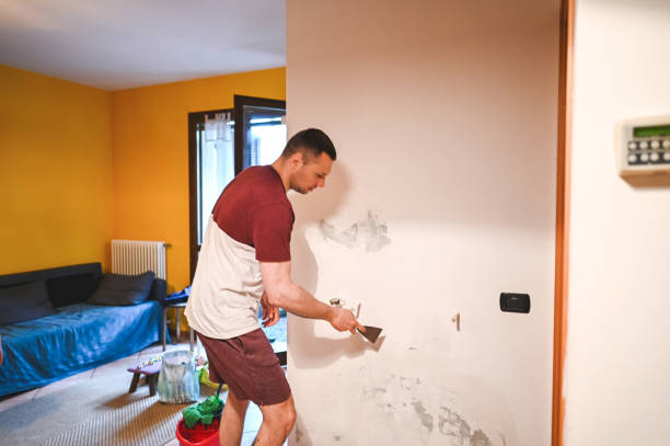 Best Mold Remediation Experts  in Lakeland, TN